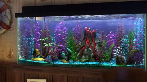 Fish Tanks For Sale Eastern Cape Podol Aquarium