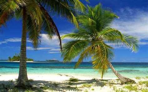 Nature Landscape Palm Trees Beach Island Sea
