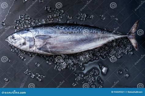 Raw Fresh Tuna Fish Stock Image Image Of Cold Dark 94449321