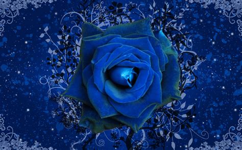 Blue Rose Wallpapers Wallpaper Cave