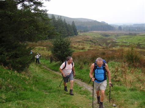 Coed Pantmaenog Fforest © Alan Richards Geograph Britain And Ireland