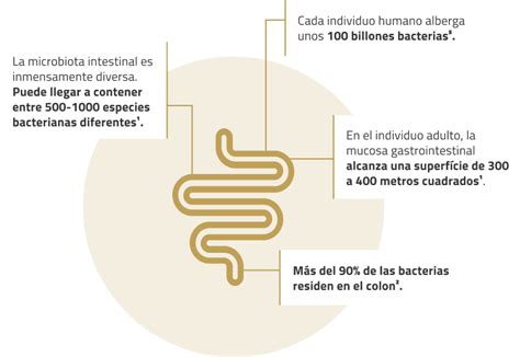 La Microbiota Profaes4 Probióticos