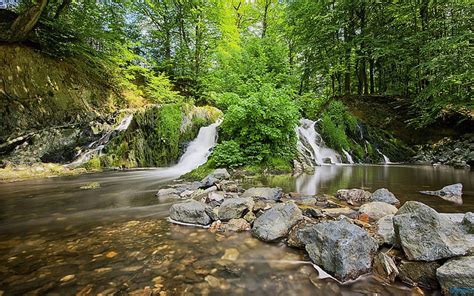 Forest Falls And Stream Creeks Nature Forests Streams Rivers