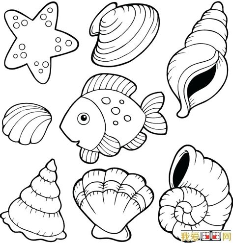 Clam Coloring Page at GetDrawings | Free download