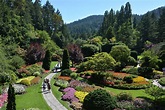 The Butchart Gardens is one of the top tourist attractions in Victoria ...