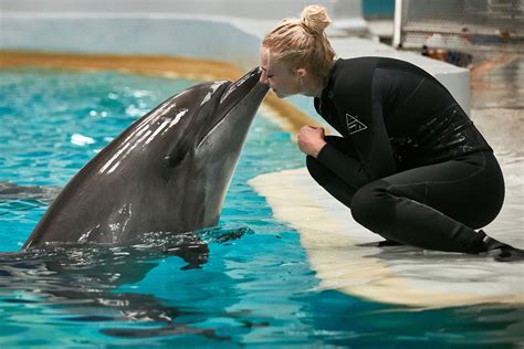 Captive Dolphins Look Forward To Play With Humans Like Pavlovs Dogs