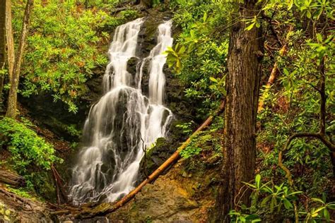 Top 4 Smoky Mountain Waterfalls Near Gatlinburg That You Have To See