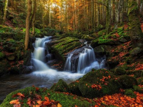 Volon Vill France November Autumn Rocks With Green Moss