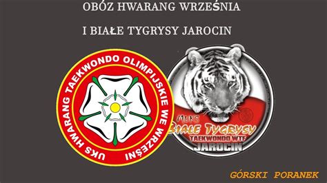Obóz Hwarang Września i Białe Tygrysy Jarocin YouTube