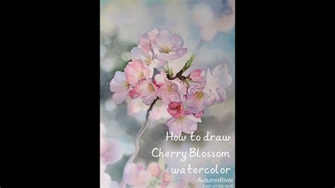 HƯỚng DẪn VẼ Hoa ĐÀo BẰng MÀu NƯỚc Howto Draw Cherry Blossoms By