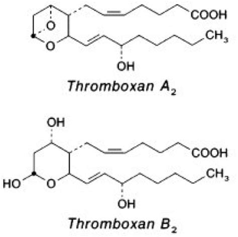 Thromboxane Lexikon Der Biologie