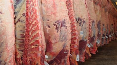 Aseguran Que Es Normal El Abastecimiento De Carne Vacuna En El Mercado Interno Infobae