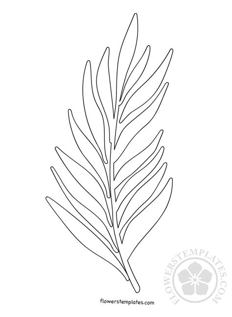 Free printable palm leaf pattern. Palm Branch template Palm sunday | Flowers Templates