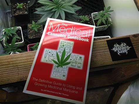 The Medical Cannabis Guidebook Review Stuff Stoners Like