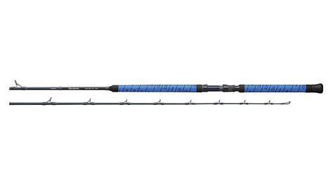 Daiwa Proteus WN Casting Rod Up To 26 Off With Free S H CampSaver