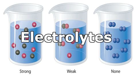 Fluid And Electrolytes Introduction Youtube