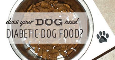 How To Get The Best Diabetic Dog Food For Your Pet Doglopedix