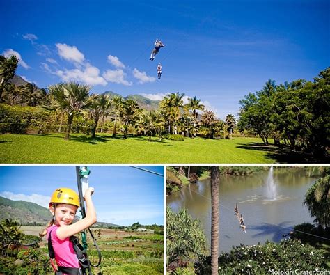 Best Maui Kid Activities Molokini Crater