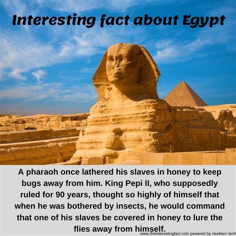 What Are 3 Interesting Facts About Egypt