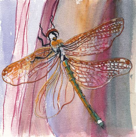 Daily Painters Marketplace Dragonfly Original Watercolor Painting