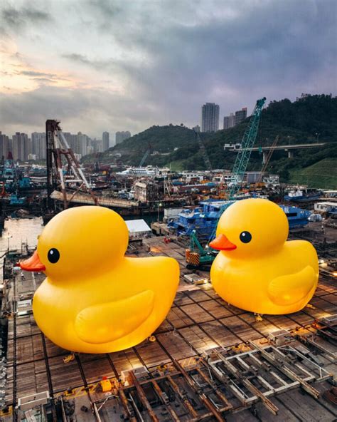 Florentijn Hofmans Inflatable Rubber Duck Gets An Identical Twin For