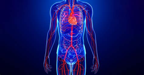 What Is An Angiogram Angiography Medstar Health