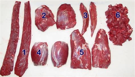 13 Easy Steps on How to Butcher a Deer and Get the Perfect Venison