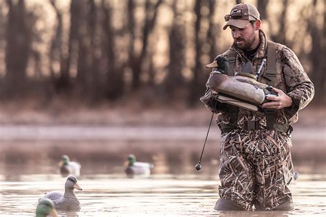 Everything You Need To Know About Duck Hunting Gun Dog