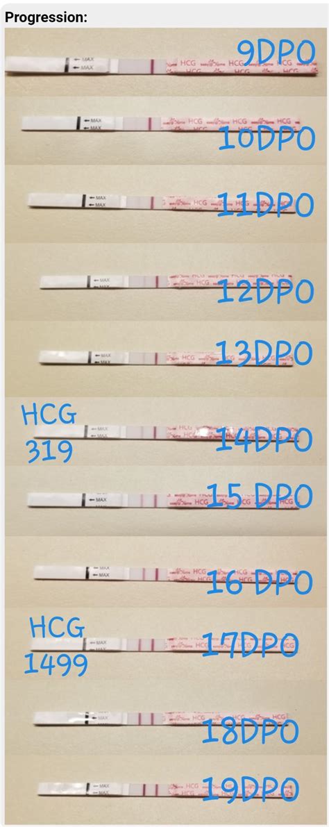 9 19dpo Progression On Easyhome Cheapies Hcg Level More Than Quadrupled In 3 Days R