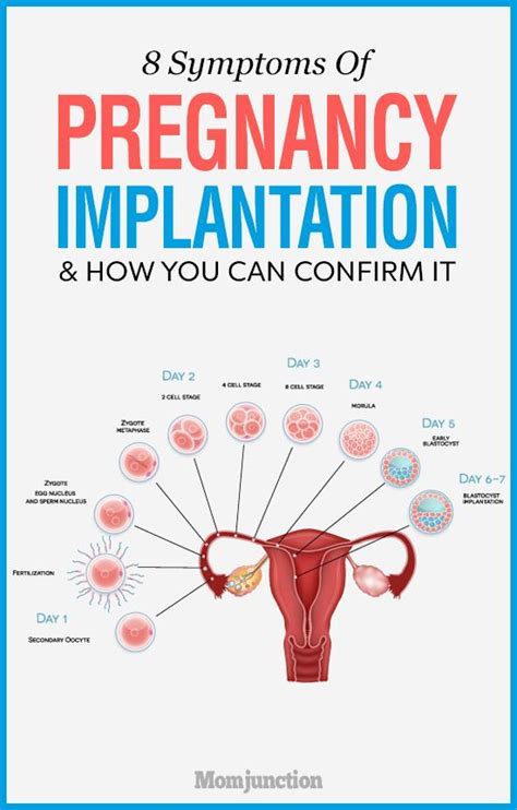 Best 25 Implantation Symptoms Ideas On Pinterest Implantation