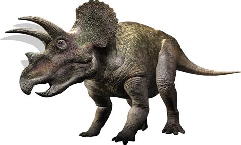 Triceratops Walking With Dinosaurs Wiki Fandom Walking With