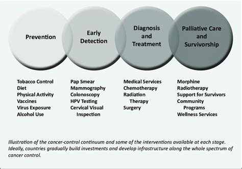 Cancer Care Continuum Download Scientific Diagram