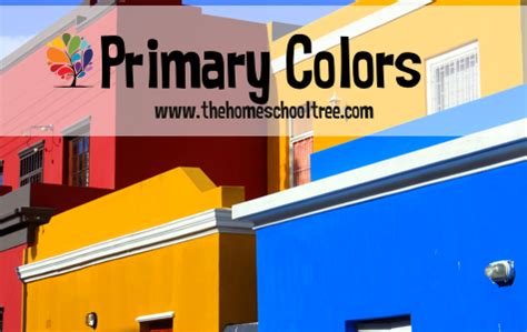 Primary Colors | Primary colors, Color, Primary