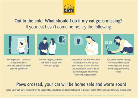 We did not find results for: Meow! Blog | Cats Protection: Lost cat - what to do if ...