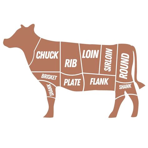 Guide To Different Cuts Of Beef What Molly Made