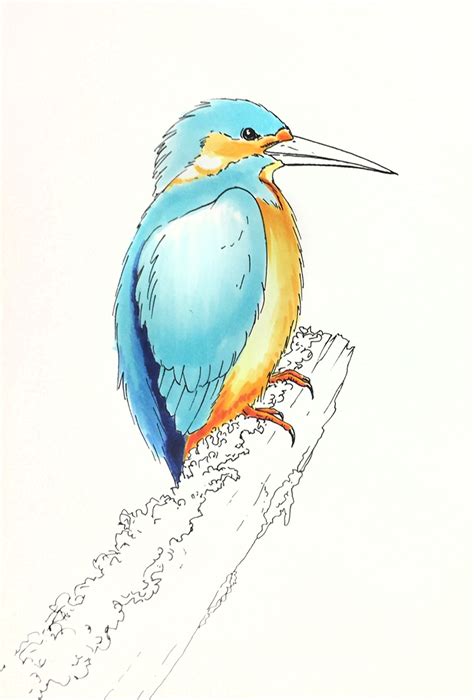 Paper bird toy to cut out and play. I Like Markers: Coloring a kingfisher bird