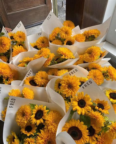 𝙏𝙞𝙩 𝘿 On Twitter Rt Flowersdaily Sunflowers