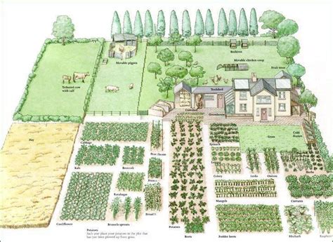 1 Acre Farm Layout Plan Jardin Jardin Permaculture Fermes Familiales