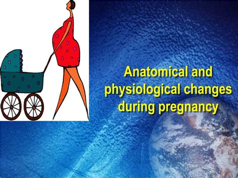 Ppt Anatomical And Physiological Changes During Pregnancy Powerpoint