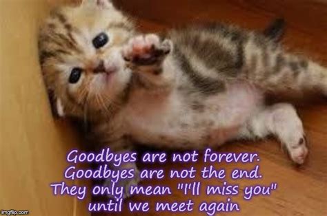 Sad Goodbye Cat Meme