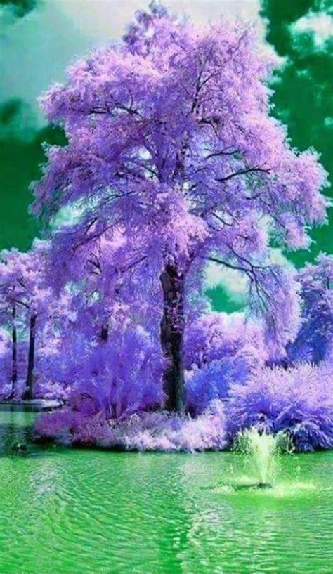 Pin By Nancy B On All Things Purple Beautiful Landscapes Beautiful