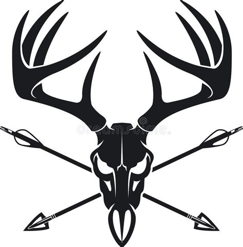 Whitetail Buck Skull With Crossing Hunting Arrows Whitetail Deer Buck Skull With Crossing