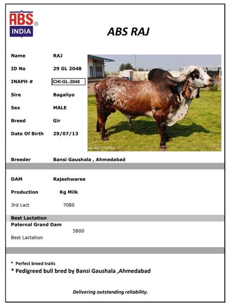 Abs Raj Gir Sexed Frozen Semen For Breeding Bull At Rs 1350unit In Hapur