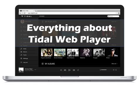 Tidal Web Player Everything You Need To Know