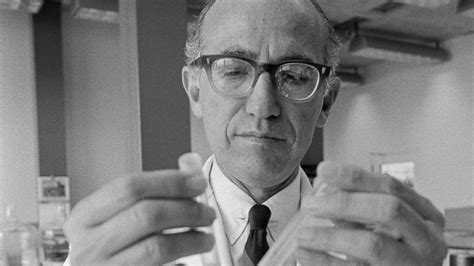 It is impossible to tell how much of the 1956 decrease in reported cases of polio in the united states is. Jonas Salk: Polio Miracle Worker
