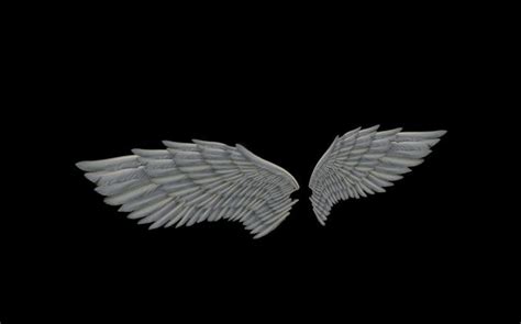 angel wings type 1 free free vr ar low poly 3d model animated rigged cgtrader