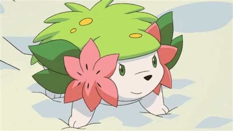 26 Interesting And Amazing Facts About Shaymin From Pokemon Tons Of Facts