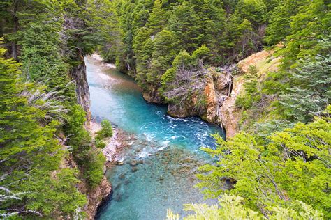 Nature Landscape River Forest Summer Turquoise Water Trees