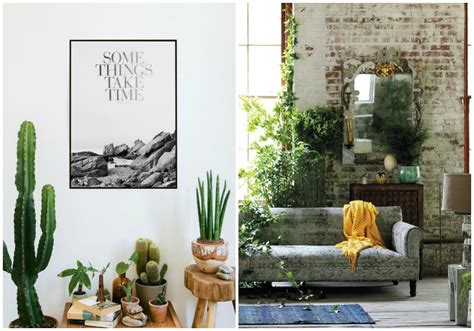 2.570 ideas encontradas en plantas. CABEZA BIPOLAR: DECORAR CON PLANTAS: Parte I