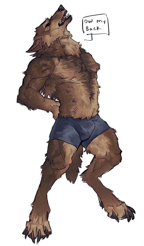 Nmvsolidus Twitter Male Furry Furry Wolf Furry Art Fantasy Character Design Character